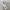 Casetify Rope Cross Body Strap NEW photo 6