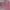 sailor pink top / knit top / crop top / atasan kerah sailor photo 2