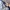 L.L.Bean Streetwear Casual Puffer jacket Pria navy photo 8