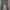 Konny Legging Abu Basic Korea – Size L (fit S–M) Ukuran Anak