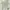 Gingham Knit Crop Top Sage Green - Korean Look Essential photo 1