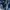 Jil Sander Streetwear Casual Puffer jacket Pria navy photo 4