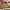 Chanel Bola size 20 photo 2