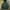 Vintage Russel Blank Hooded Green bottle  photo 1