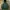 Vintage Russel Blank Hooded Green Bottle 