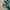 Vintage Russel Blank Hooded Green bottle  photo 2