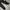 SSUR PLUS ICONSLAB JOGGER PANTS photo 3