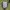 Gorpcore Windbreaker Pria black photo 3