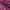 Hoodie Burgundy Nice Ghost Club  photo 5