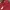 Vintage Wanita burgundy red photo 3