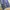 “the cross” bluewash pattern breaks jeans pants (baggy fit) photo 5