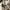 Converse All Star CT Grey Hi photo 7
