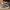 Converse All Star CT Grey Hi photo 2