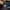 Adidas Neo Questar flow triple black photo 5