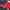 qt8 garments photo 3