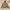 Carhartt Ziphoodie Jacket vintage photo 2