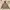 Carhartt Ziphoodie Jacket Vintage