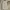 Carhartt Carpenter Pants vintage photo 1