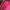 Vintage Wanita red pink photo 2