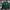 JAKET GU JETS  NFL 