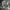 8Seconds WorkJacket Canvas Textured photo 7