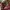 Casual Hobo bag Wanita burgundy red photo 6