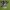 Adidas samba adv Maite steendhoud  photo 1
