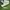 Adidas campus collete x undefeat  photo 1