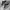 Adidas Sportswear Casual Sneakers Kids white black photo 3