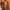 Telfar mini no ori color brown  photo 4