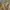 Demon Slayer Zenitsu Agatsuma Motif Yellow Shorts Large photo 8