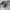 Adidas Sportswear Casual Kids white black photo 2