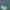 Carharrt WIP Star Script