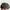 KANGOL WOOL MULTI COLOUR SNAPBACK CAP | TOPI | JSNG photo 3