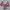 Crop Top Pink Korean Look Coquette Pita Atasan Lengan Pendek
