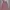 Rok Panjang Pink long midi pink skirt plisket hijab friendly photo 5
