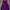 Royal purple midi button slit (H&M) photo 1