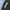 Celana Total 90 Nike photo 4