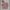 Pink peach Top/atasan blouse korean look photo 1