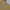 Yellow Crop Top / Crop Top Kuning Bunga Atasan Lengan Pendek
