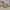 yellow crop top / crop top kuning bunga atasan lengan pendek photo 4
