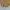 yellow crop top / crop top kuning bunga atasan lengan pendek photo 3