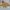 yellow crop top / crop top kuning bunga atasan lengan pendek photo 1