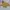 Yellow Crop Top / Crop Top Kuning Bunga Atasan Lengan Pendek