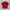 Ma Sir Red Cheongsam Shirt
