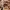 Valentino Luxury Sportswear Track jacket Wanita multicolor burgundy brown orange photo 5