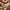 Valentino Luxury Sportswear Track jacket Wanita multicolor burgundy brown orange photo 3