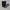 Champion Logo C Jogger Pants photo 1