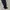 Champion Logo C Jogger Pants photo 4