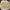Michael Kors Coquette Casual Wanita tan cream photo 2
